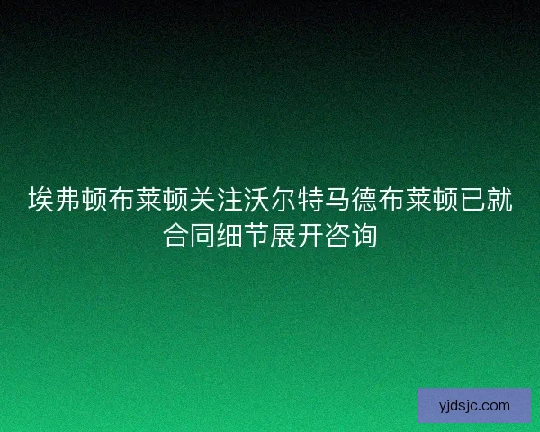埃弗顿布莱顿关注沃尔特马德布莱顿已就合同细节展开咨询