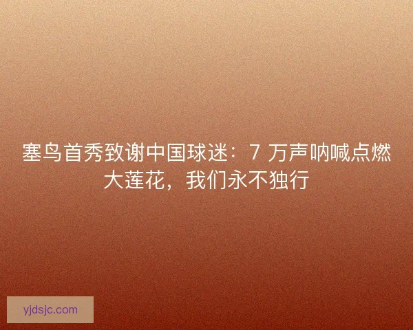 塞鸟首秀致谢中国球迷：7 万声呐喊点燃大莲花，我们永不独行