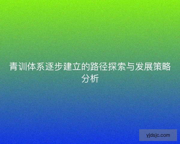青训体系逐步建立的路径探索与发展策略分析